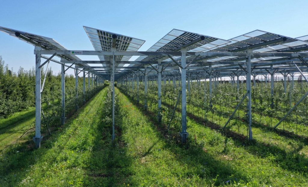 Energia solar agrivoltaica