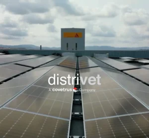 distrivet plaques solars empreses