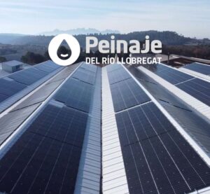 peinaje plaques solars empreses